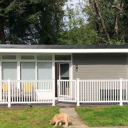 Woodlands Luxury Escape - Lodge 81 New Quay  Εξωτερικό φωτογραφία
