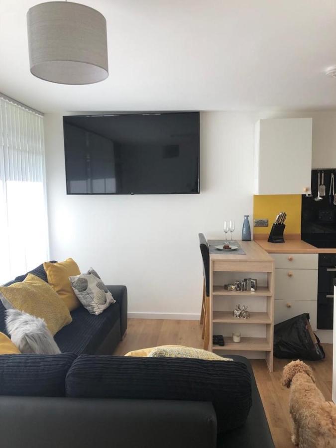 Woodlands Luxury Escape - Lodge 81 New Quay  Εξωτερικό φωτογραφία